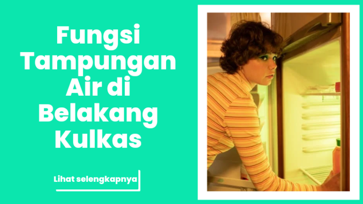 Fungsi Tampungan Air di Belakang Kulkas