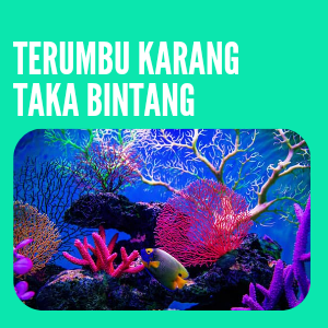 Terumbu Karang Taka Bintang