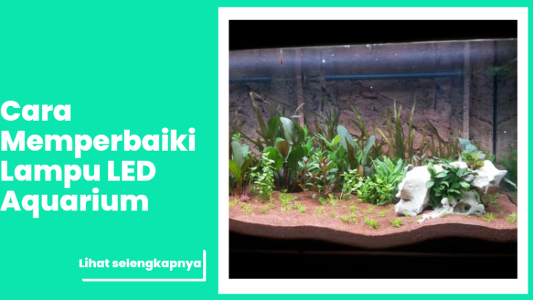 Cara Memperbaiki Lampu LED Aquarium