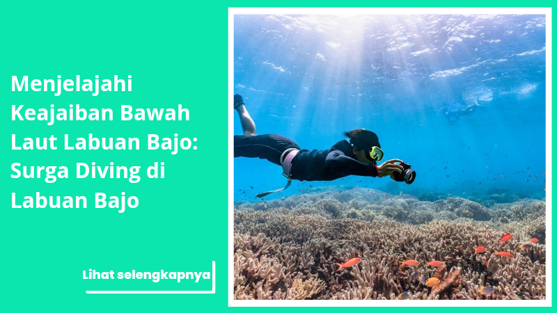 Menjelajahi Keajaiban Bawah Laut Labuan Bajo: Surga Diving di Labuan Bajo