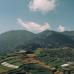 Penginapan View Terbaik Di Dieng