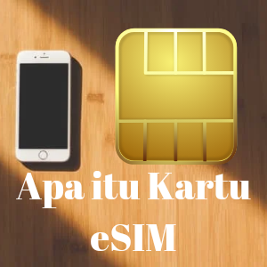 Apa itu Kartu eSIM?